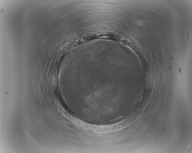 X0000058760039200510211709