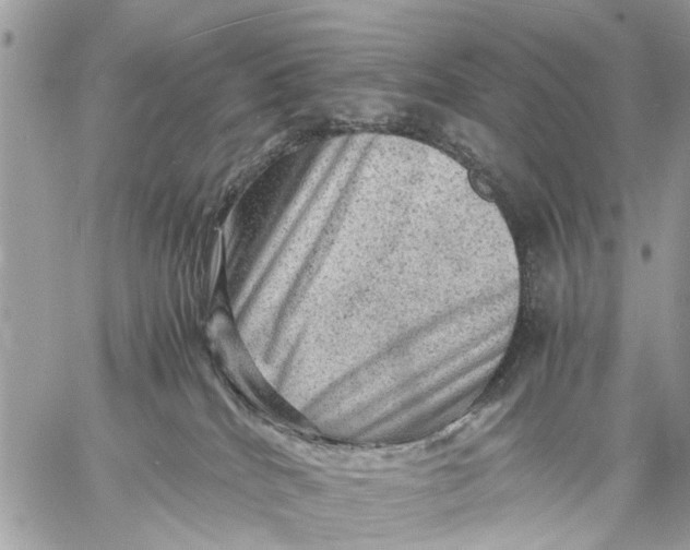 X0000058760040200510211709