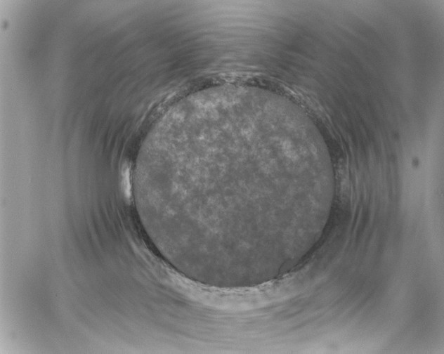 X0000058760042200510211709