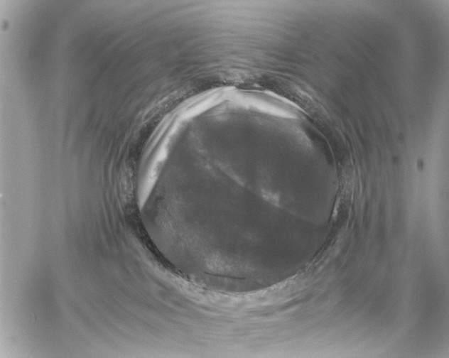 X0000058760043200510211709