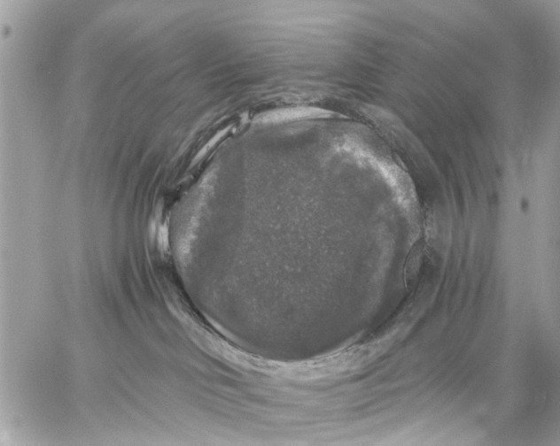 X0000058760046200510211708