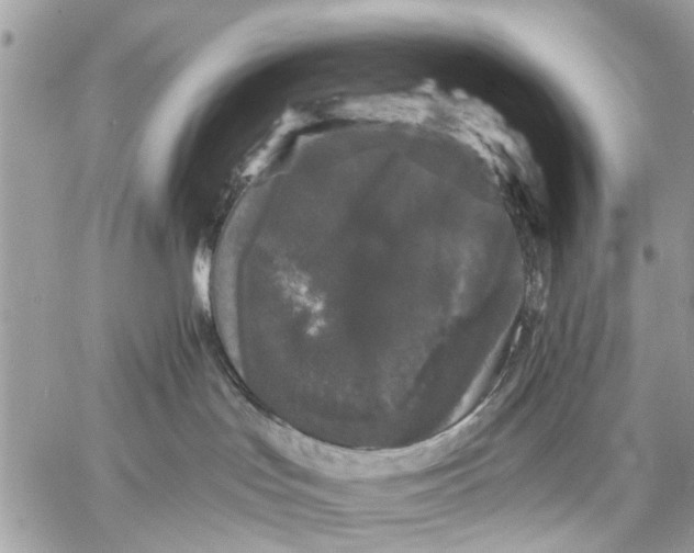 X0000058760047200510211708