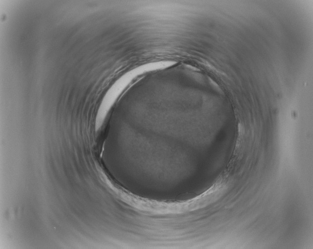 X0000058760048200510211708