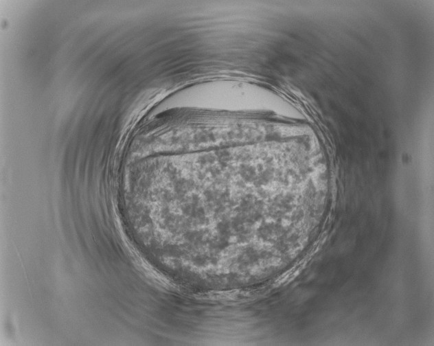 X0000058760049200510211708