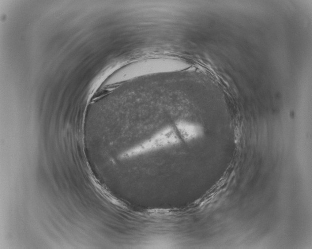 X0000058760052200510211708