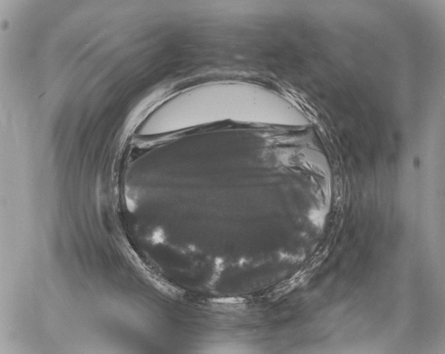 X0000058760053200510211708