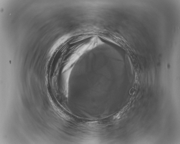 X0000058760054200510211708