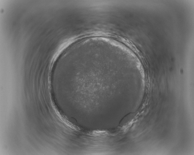 X0000058760055200510211708