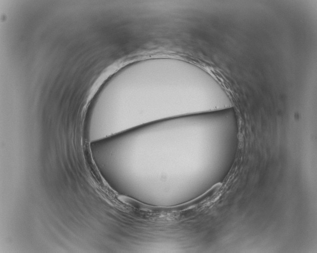 X0000058760056200510211708