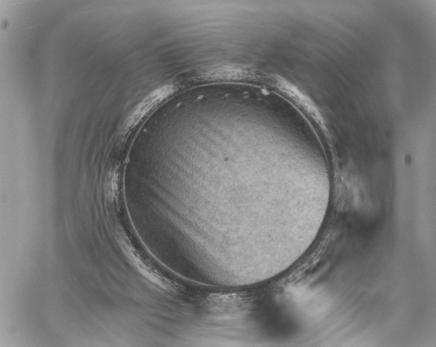 X0000058760057200510211708