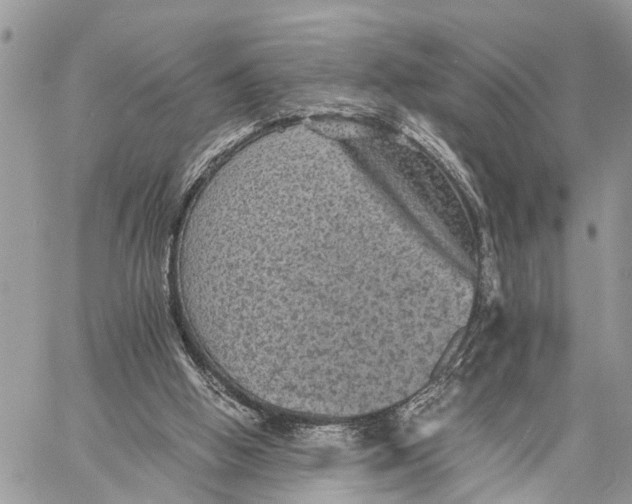 X0000058760058200510211708