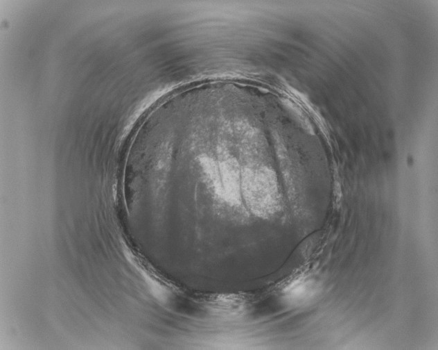 X0000058760060200510211708