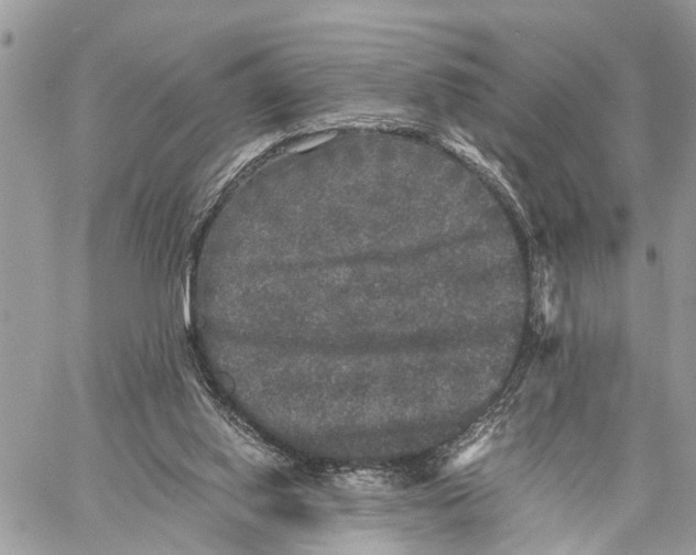 X0000058760062200510211708