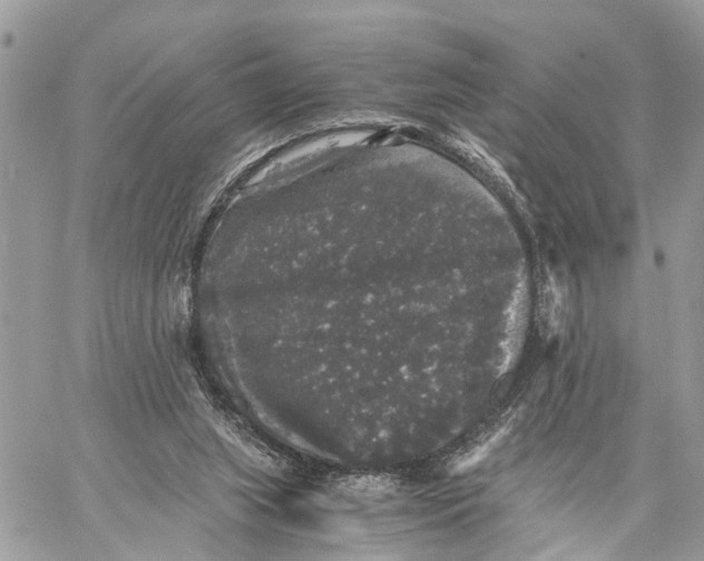 X0000058760063200510211708