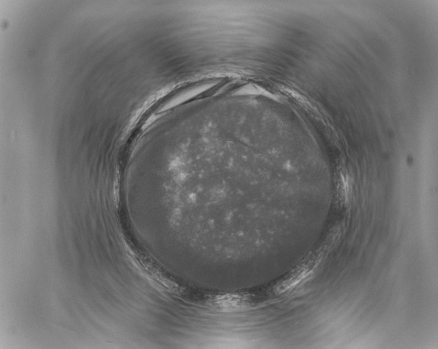 X0000058760064200510211708