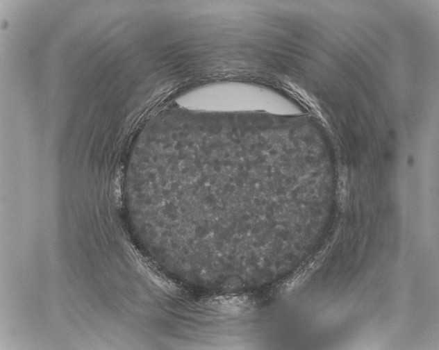 X0000058760065200510211708