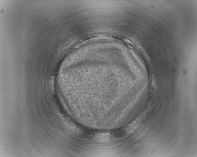 X0000058760066200510211708