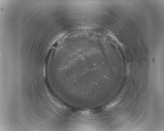 X0000058760068200510211708