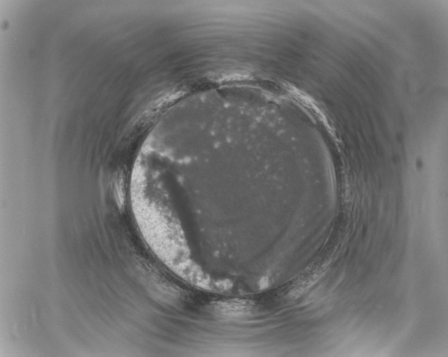 X0000058760069200510211708