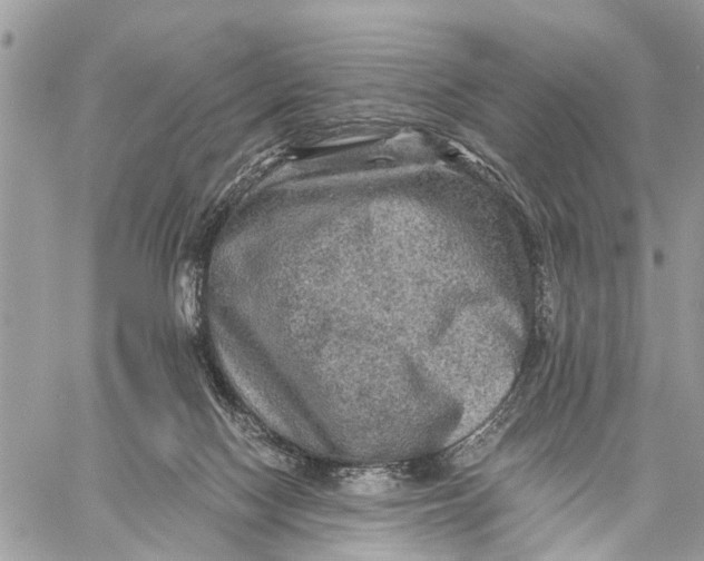 X0000058760074200510211708