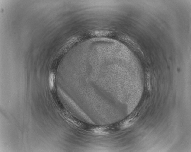 X0000058760075200510211708