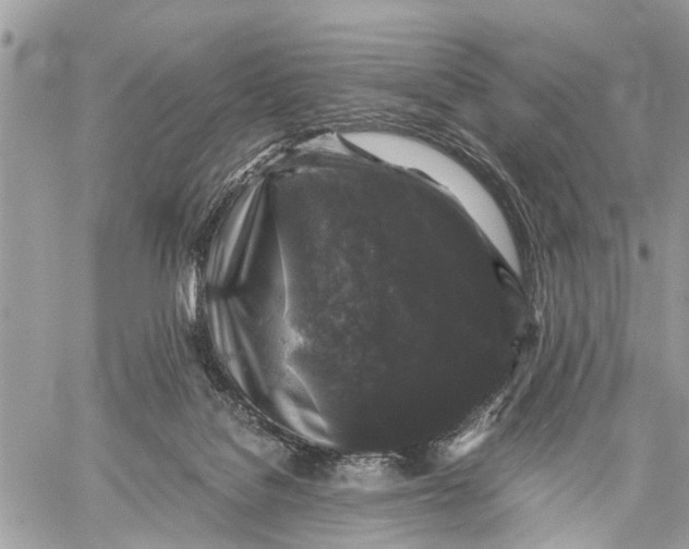 X0000058760076200510211708