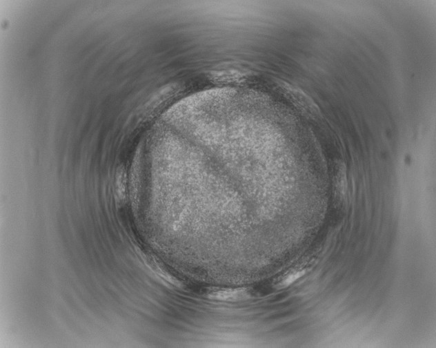 X0000058760081200510211708