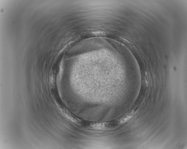 X0000058760084200510211708