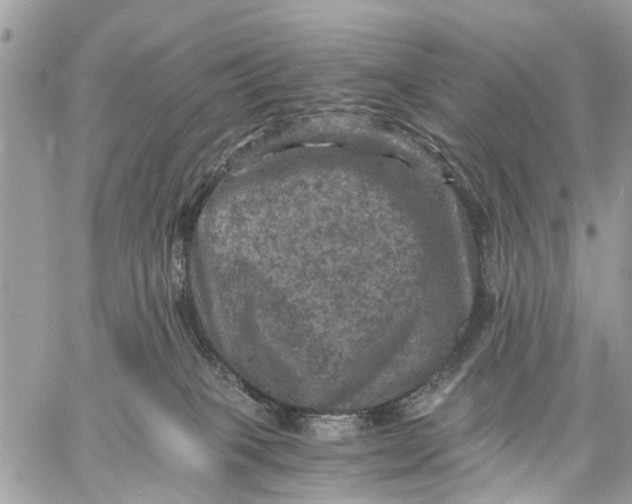 X0000058760085200510211708