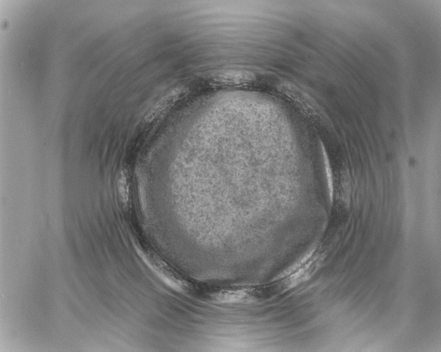 X0000058760086200510211708