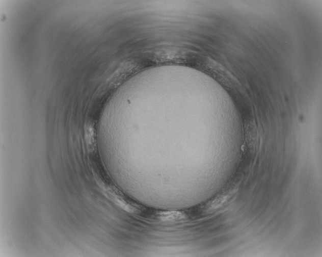 X0000058760087200510211708