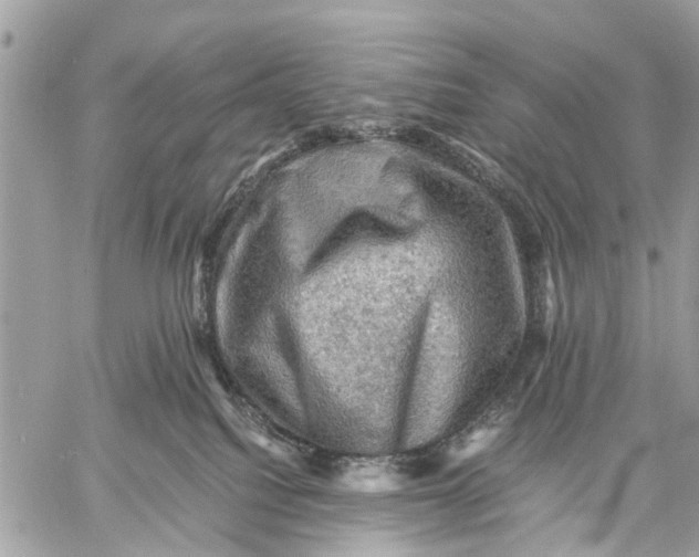 X0000058760088200510211708