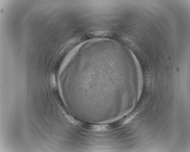 X0000058760089200510211708