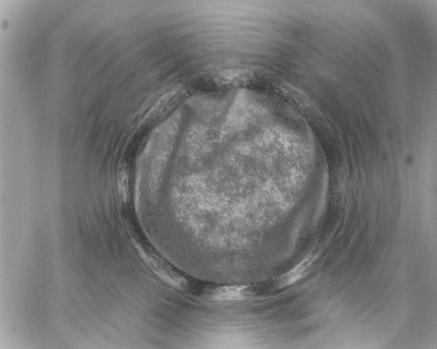 X0000058760090200510211708