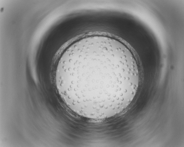 X0000058760093200510211708