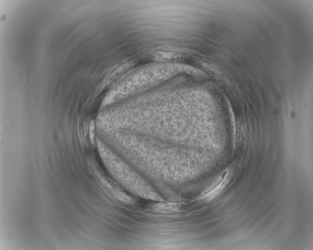 X0000058760094200510211708