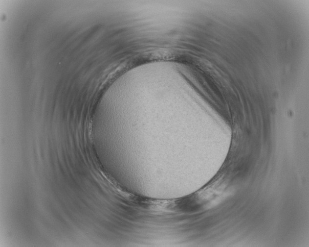 X0000058760096200510211708