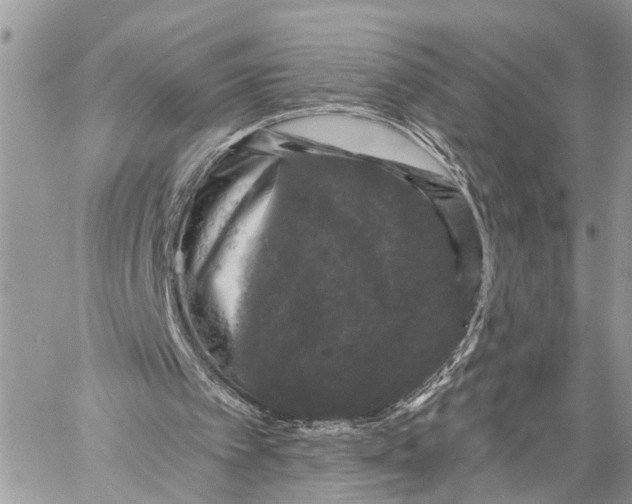 X0000058760097200510211708