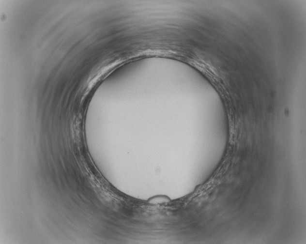 X0000058760098200510211708