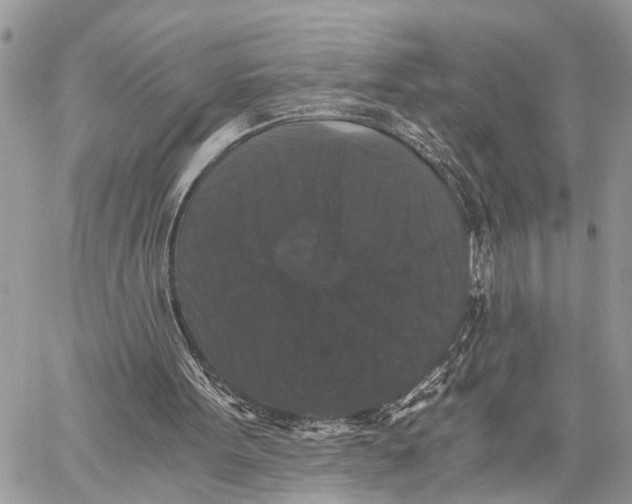 X0000058760099200510211708