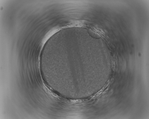 X0000058760100200510211708