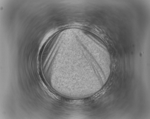 X0000058760102200510211708