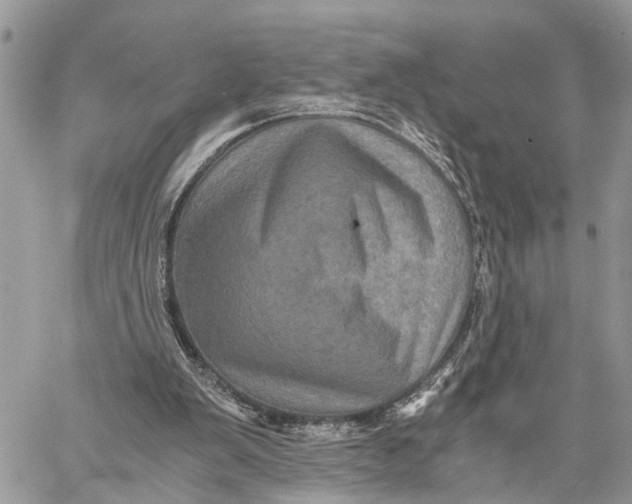 X0000058760103200510211708