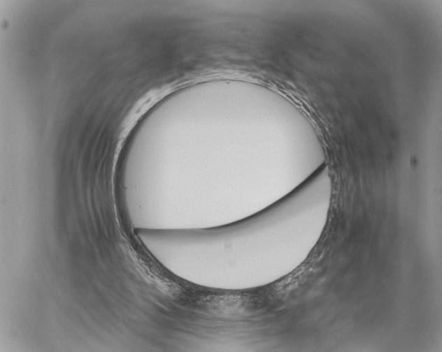 X0000058760104200510211708