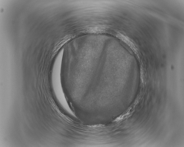 X0000058760105200510211707