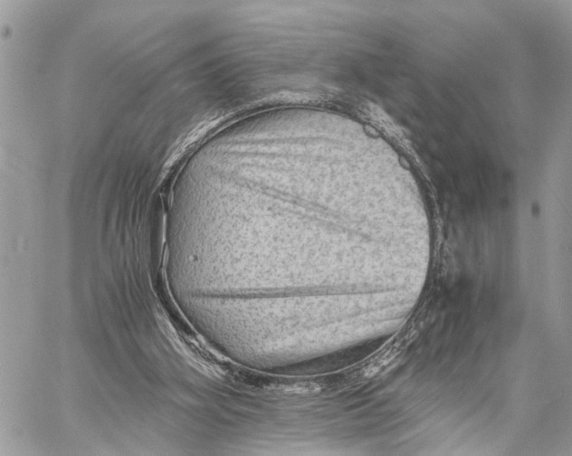 X0000058760106200510211707