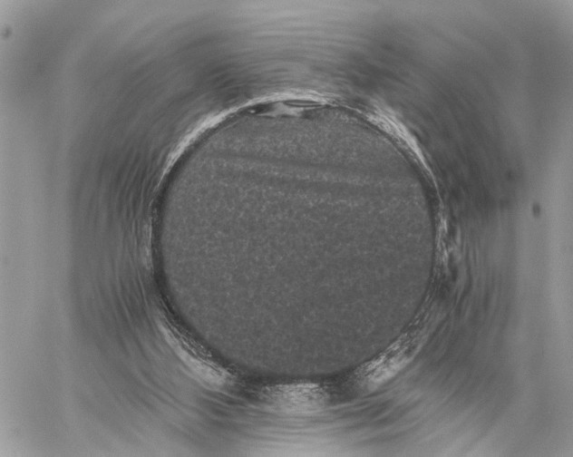 X0000058760108200510211707