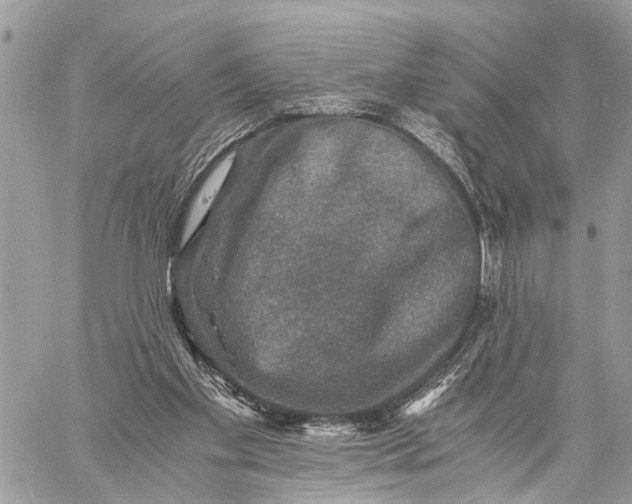 X0000058760109200510211707