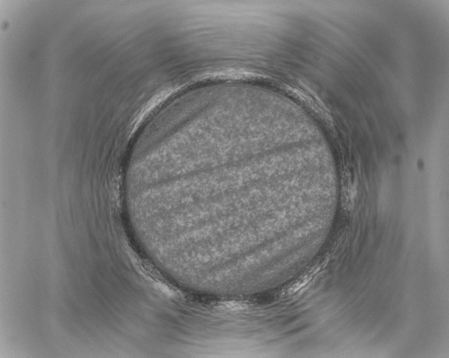 X0000058760111200510211707