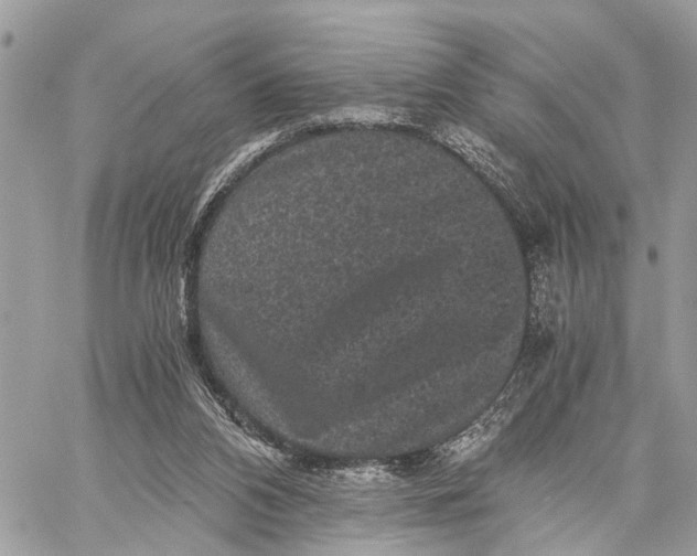 X0000058760112200510211707